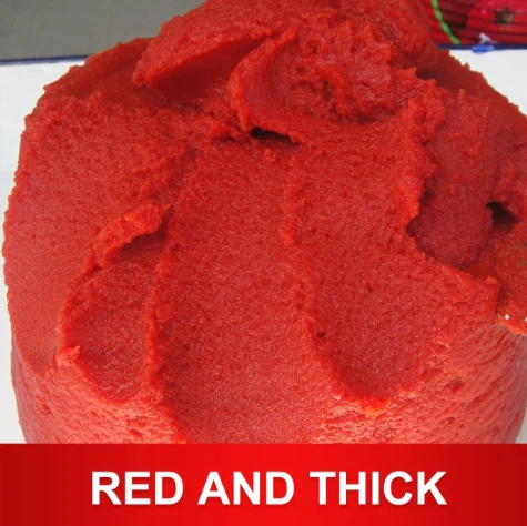 Sachet Tomato Paste Ketchup Seasoning